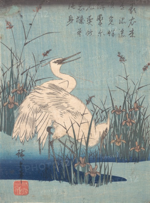 Egret in Iris and Grasses, ca. 1837., ca. 1837. Creator: Ando Hiroshige.