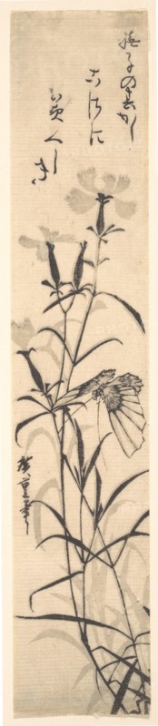 Black and White Print of Butterfly and Flower (a Pink). Creator: Ando Hiroshige.