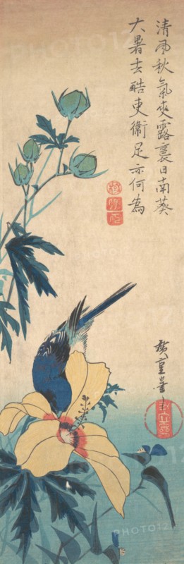 Hibiscus and Bluebird, ca. 1832., ca. 1832. Creator: Ando Hiroshige.