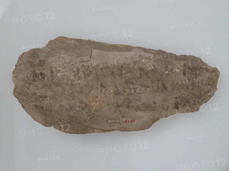 Ostrakon, Coptic, 600.