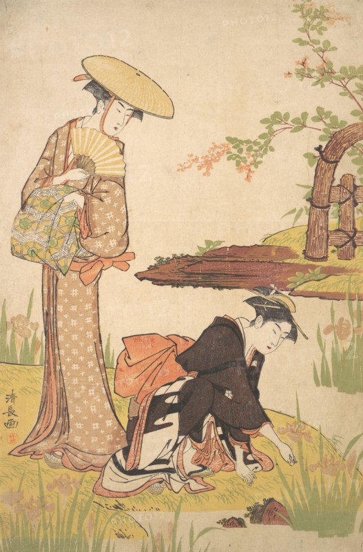 The Iris Garden, ca. 1784.
