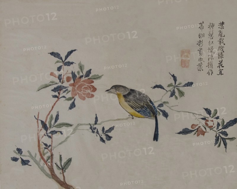 Bird on a Flowering Branch, 19th century.
