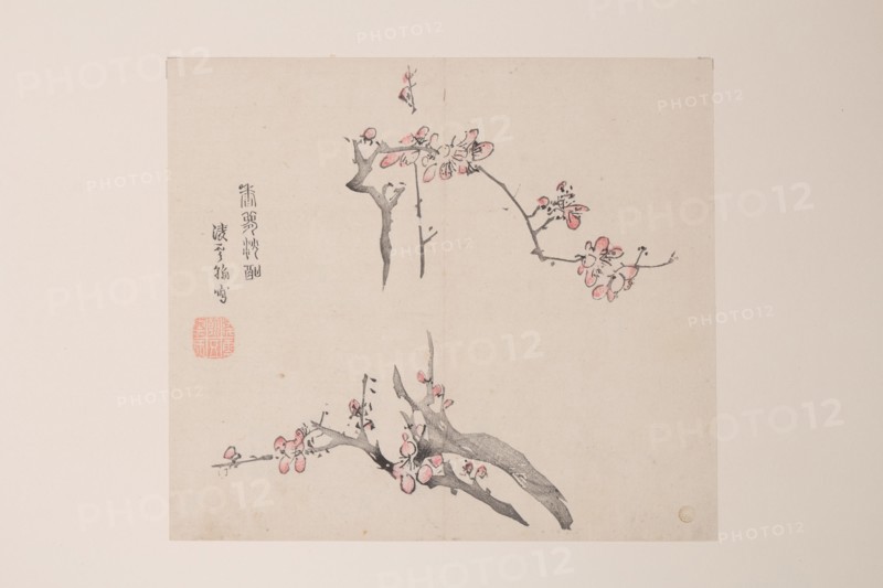 Page from Shi Zhu Zhai.