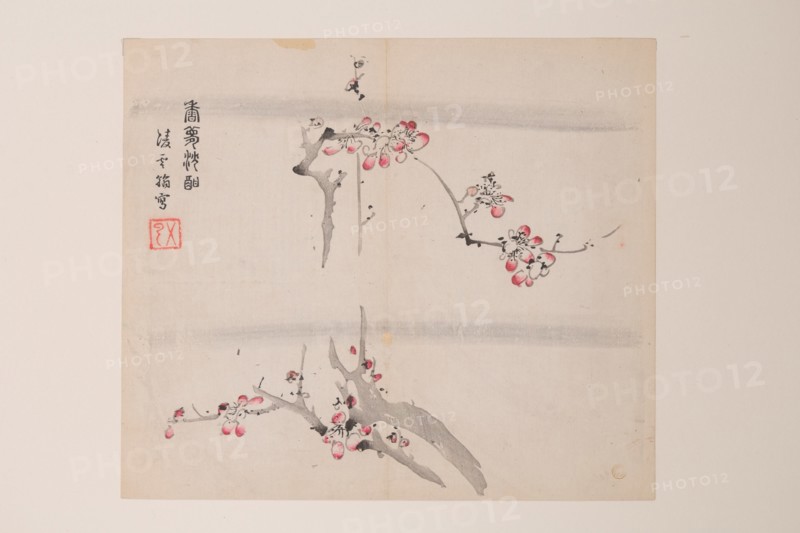 Page from Shi Zhu Zhai.