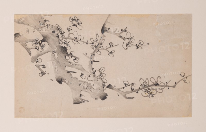 Page from Shi Zhu Zhai.