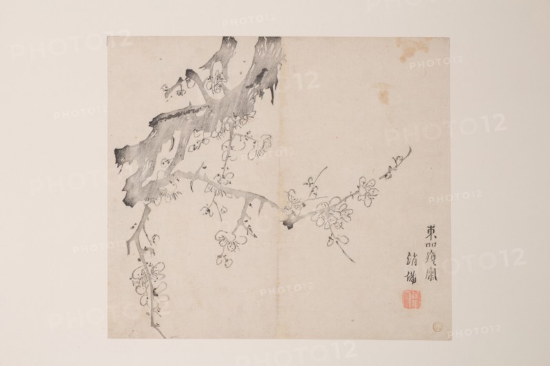 Page from Shi Zhu Zhai.
