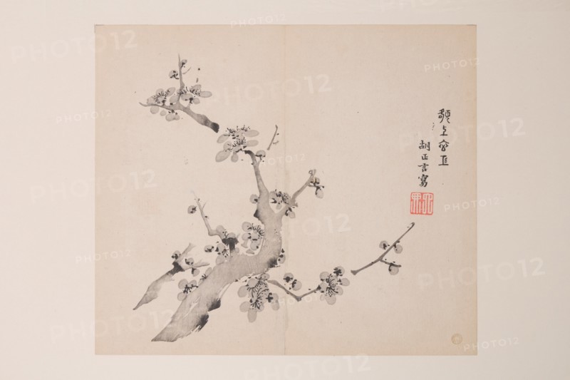 Page from Shi Zhu Zhai.