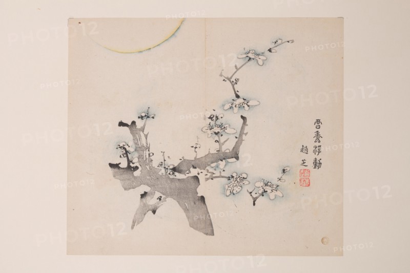 Page from Shi Zhu Zhai.