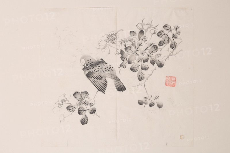 Page from Shi Zhu Zhai.