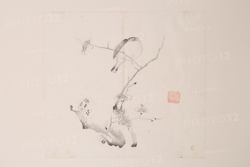 Page from Shi Zhu Zhai.