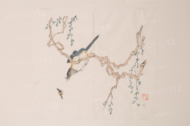 Page from Shi Zhu Zhai.