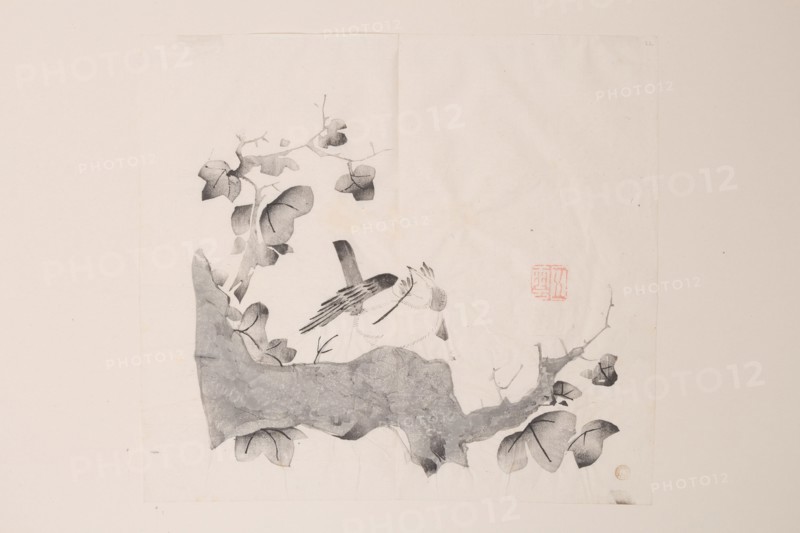 Page from Shi Zhu Zhai.