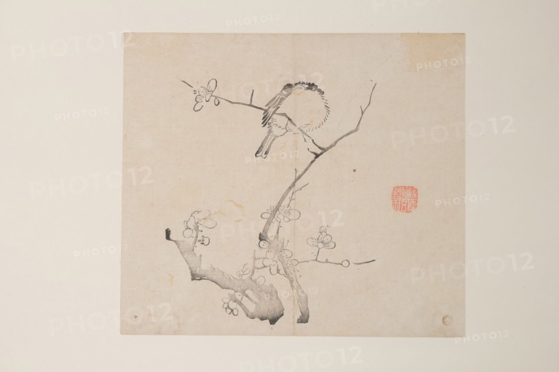 Page from Shi Zhu Zhai Shu hua pu.
