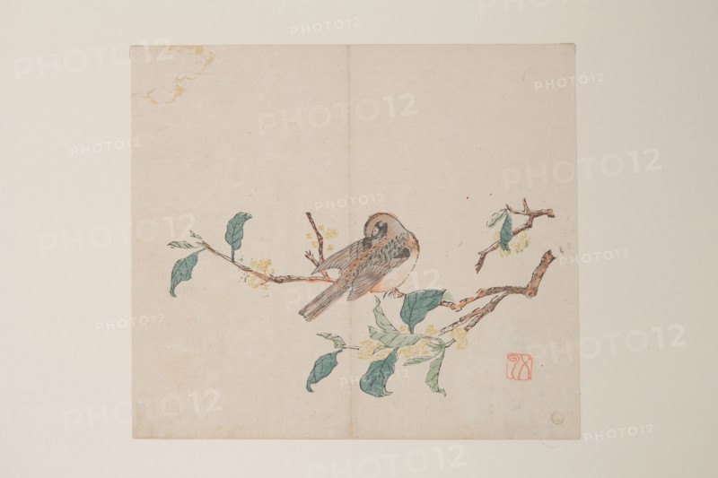Page from Shi Zhu Zhai.