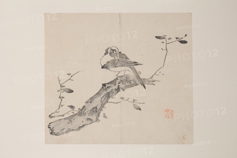 Page from Shi Zhu Zhai.