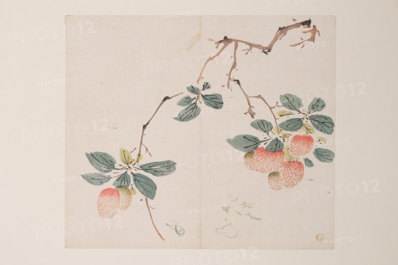 Page from Shi Zhu Zhai.