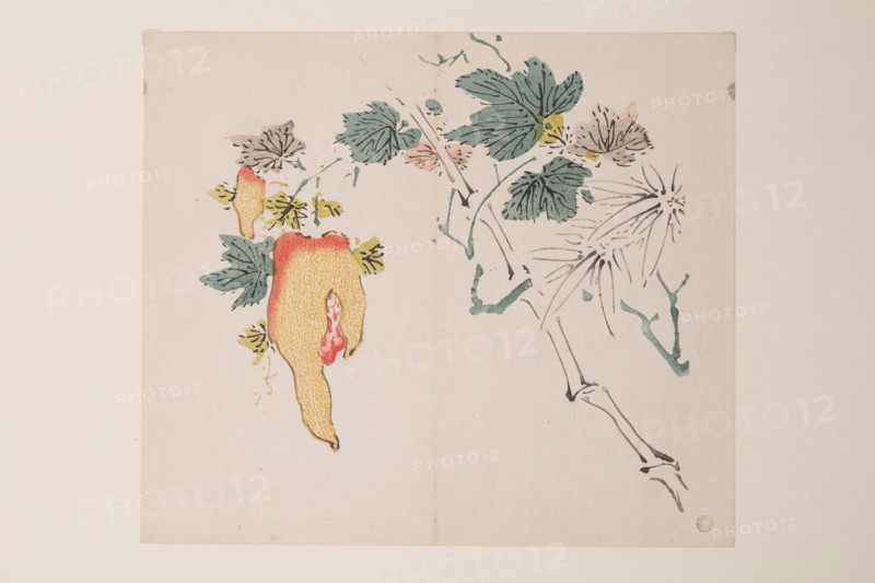Page from Shi Zhu Zhai.