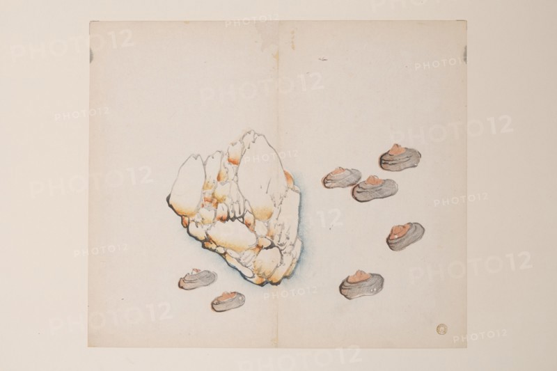 Page from Shi Zhu Zhai.