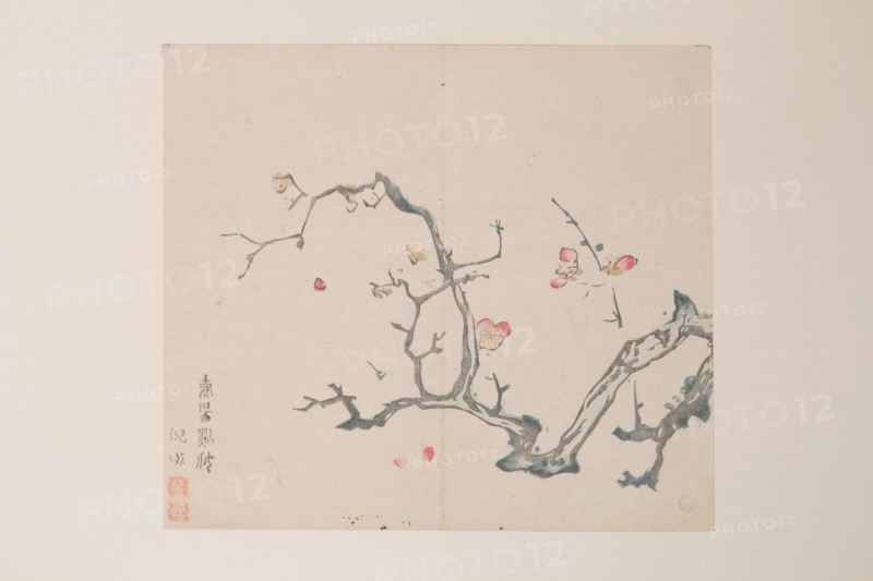 Page from Shi Zhu Zhai.
