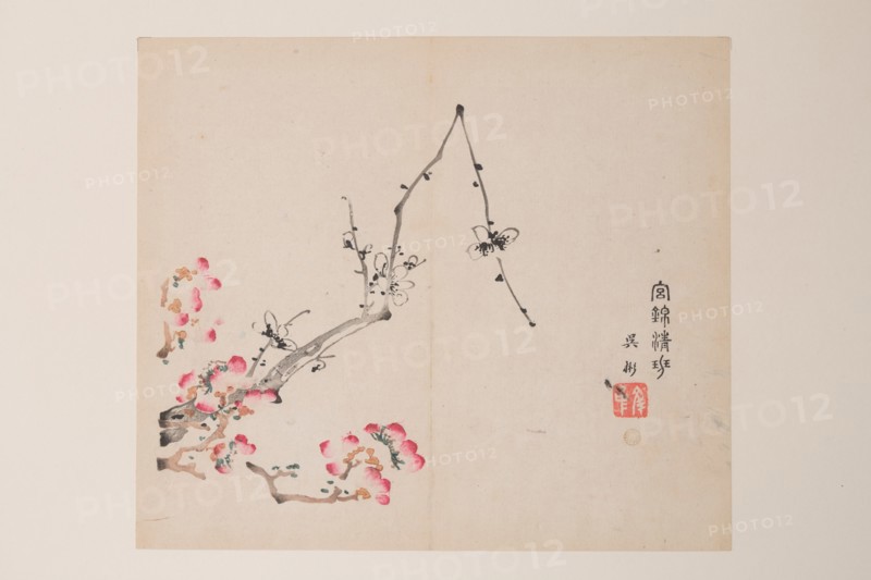 Page from Shi Zhu Zhai.