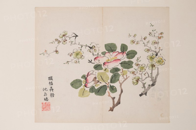 Page from Shi Zhu Zhai.