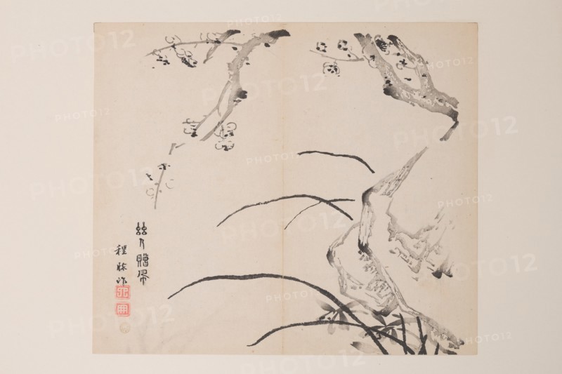 Page from Shi Zhu Zhai.
