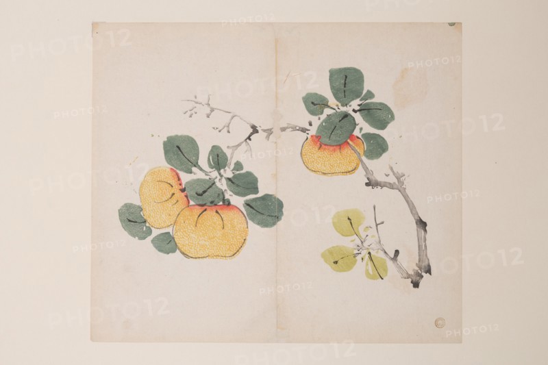 Page from Shi Zhu Zhai.