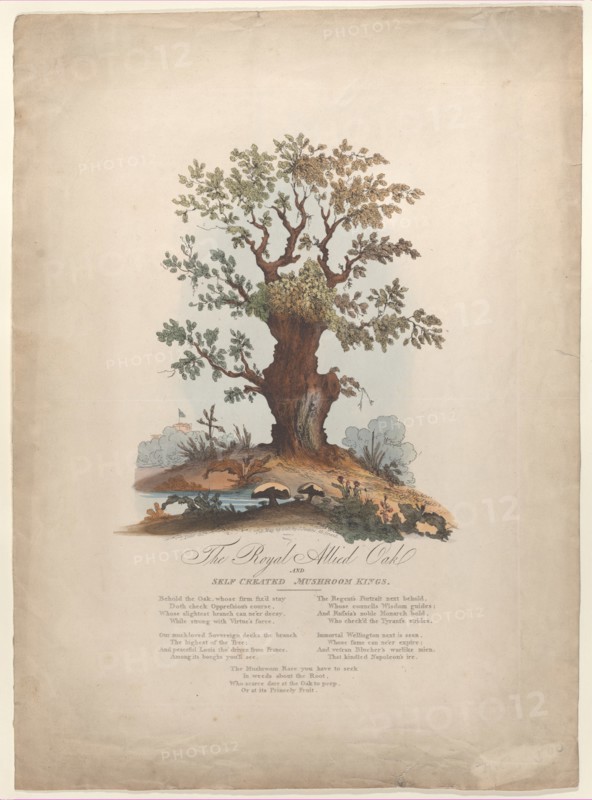 The Royal Allied Oak and Self-Created Mushroom Kings, May 29, 1815.