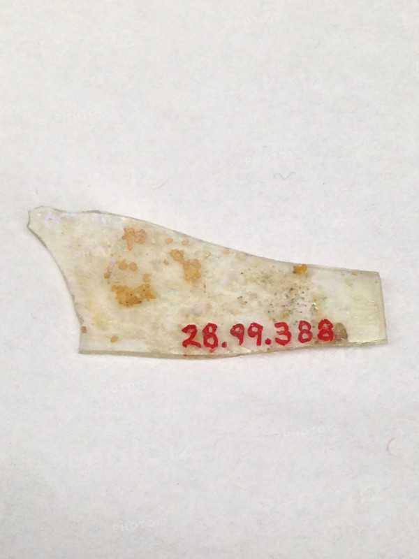 Fragment, European or Middle Eastern, ca. 1150-ca. 1250.