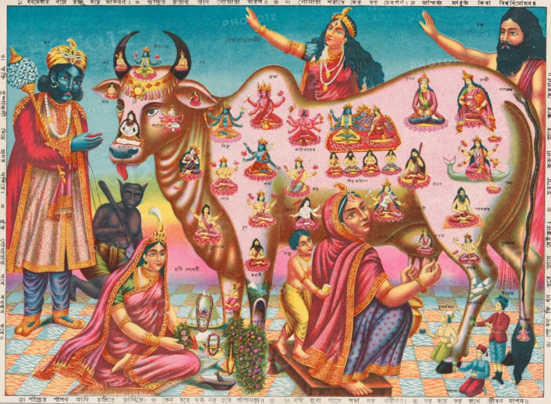 Vishva Rajalakshmi Gomata, ca. 1890.