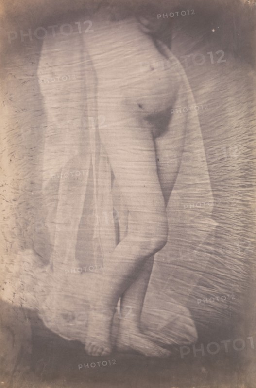 [Standing Female Nude], ca. 1856.