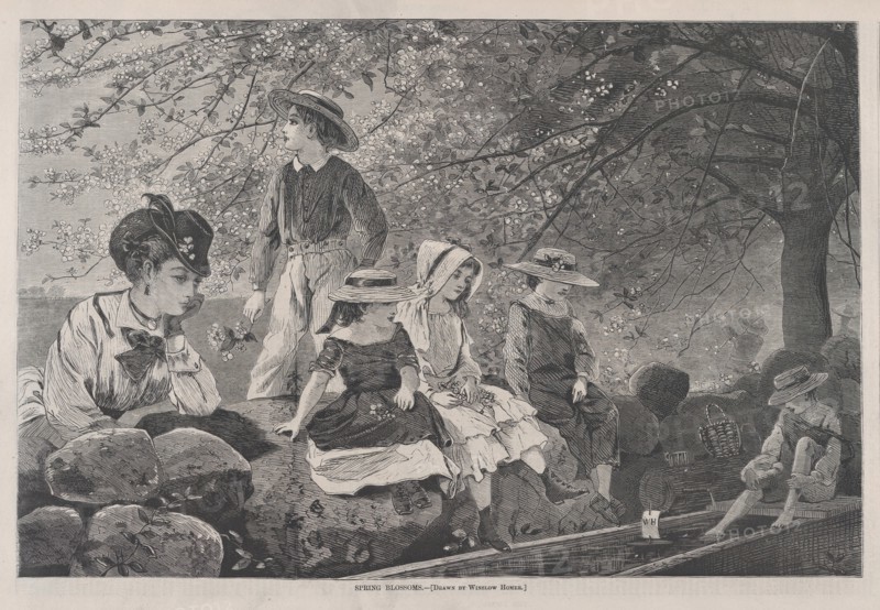 Spring Blossoms (Harper's Weekly, Vol. XIV), May 12, 1870.