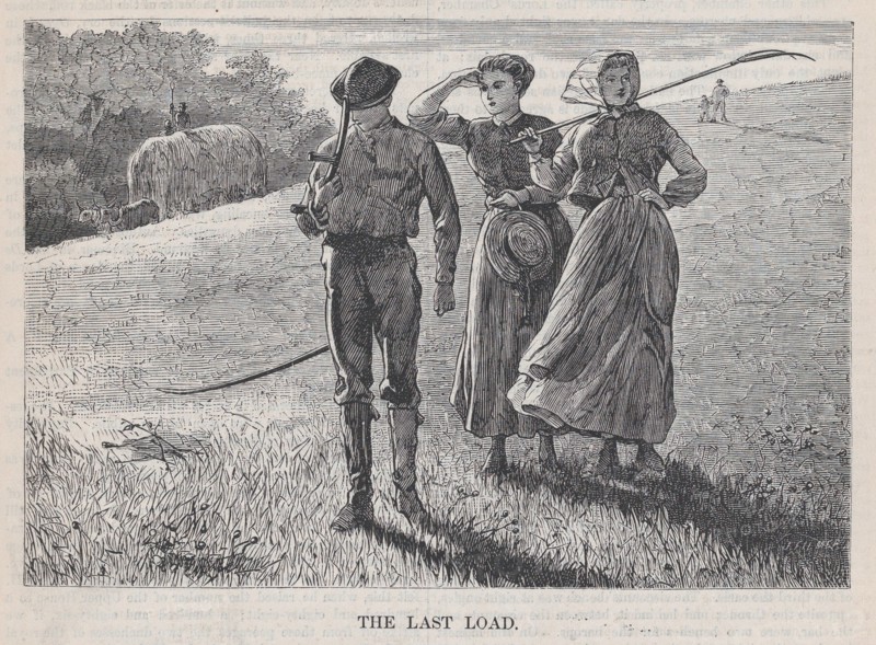The Last Load (Appleton's Journal, Vol. I), August 7, 1869.