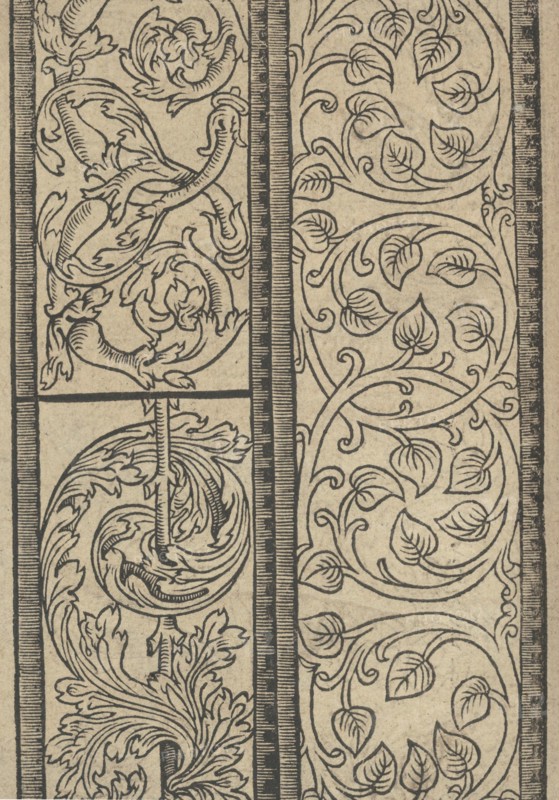 Ce est ung tractat de la noble art de leguille ascavoir ouvraiges de spaigne... page 22 (verso), after 1527. [From a pattern book of embroidery, lace and lace making].
