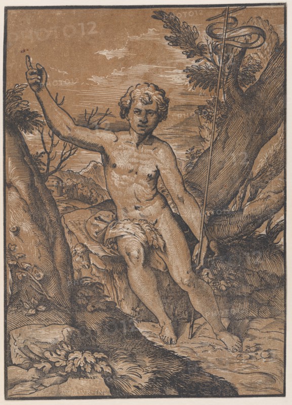 The young Saint John the Baptist in the wilderness, ca. 1520-27.