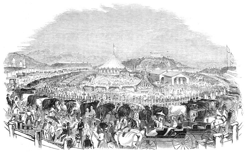 The Great Poughkeepsie Cattle Show