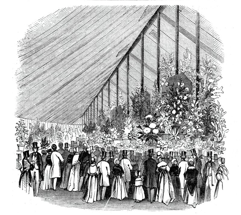 Principal Tent