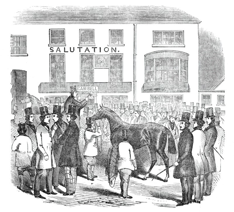 The Salutation