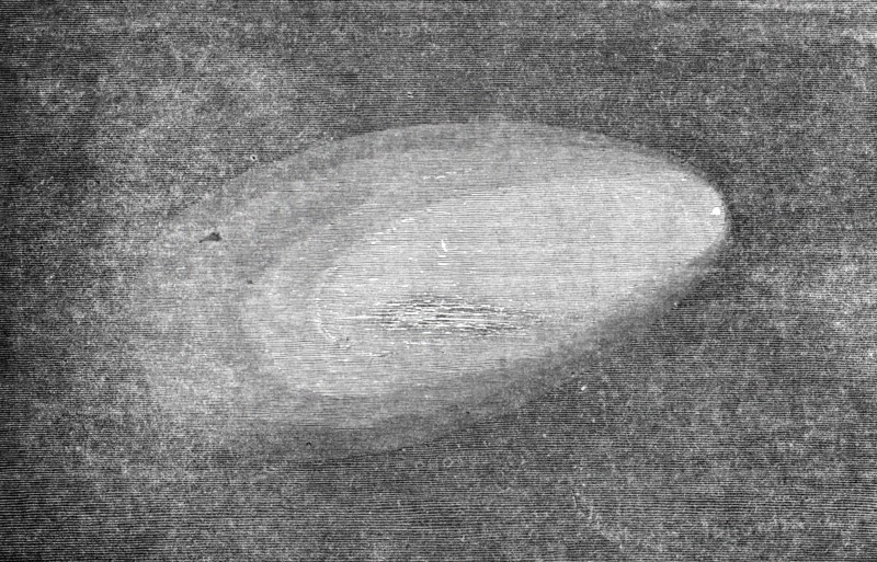 The New Comet! Discovered on Sunday last