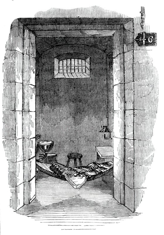 Interior of cell