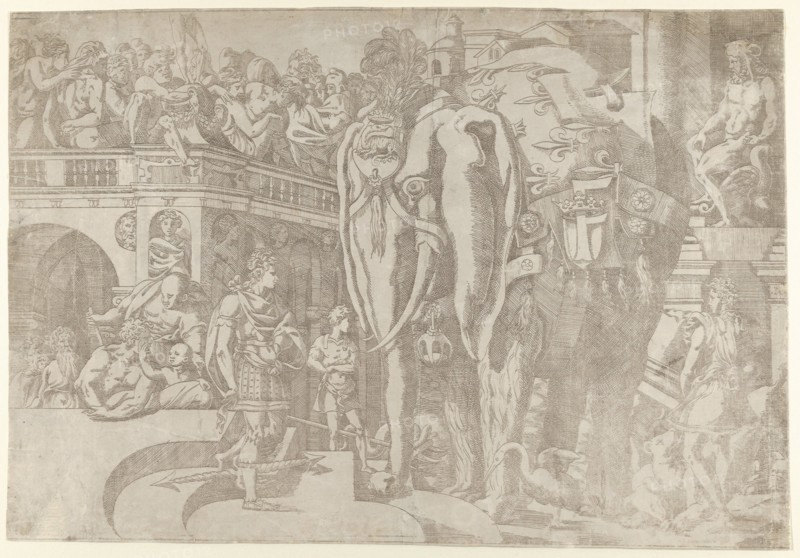 Royal Elephant