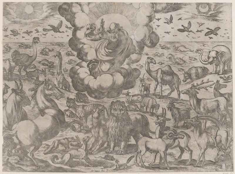 God Creating the Animals