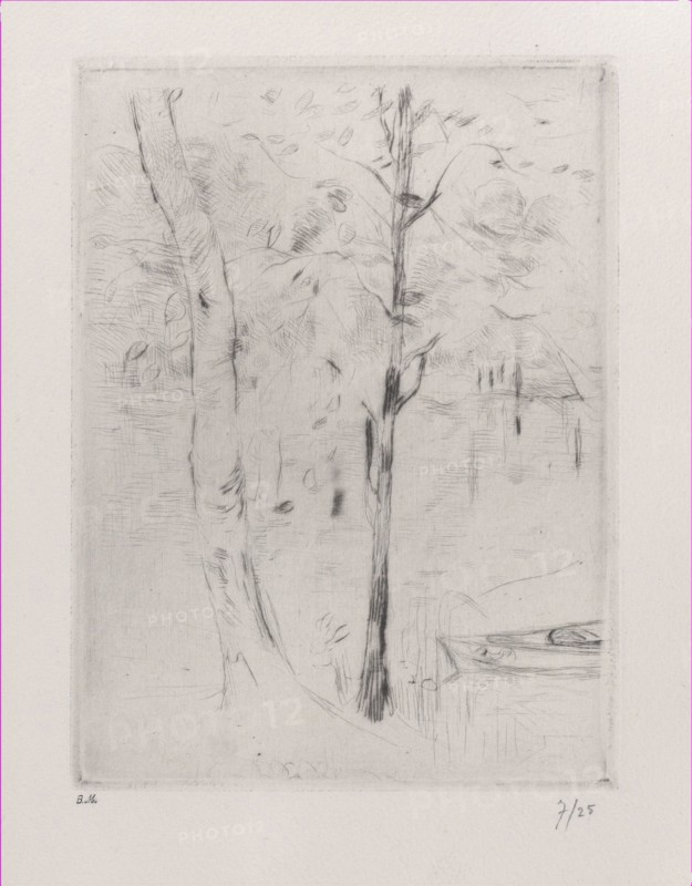 Landscape (Tree-trunks near a River)