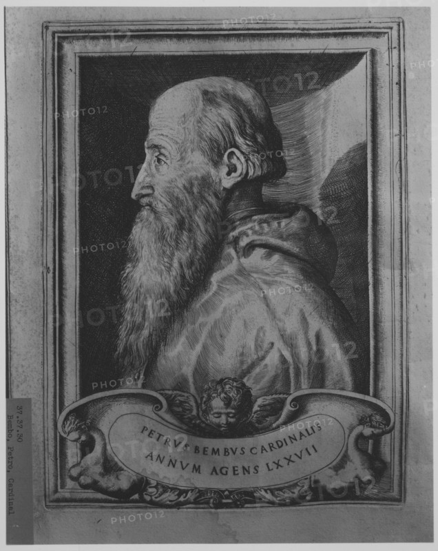 Historiae Venetae. Libri XII