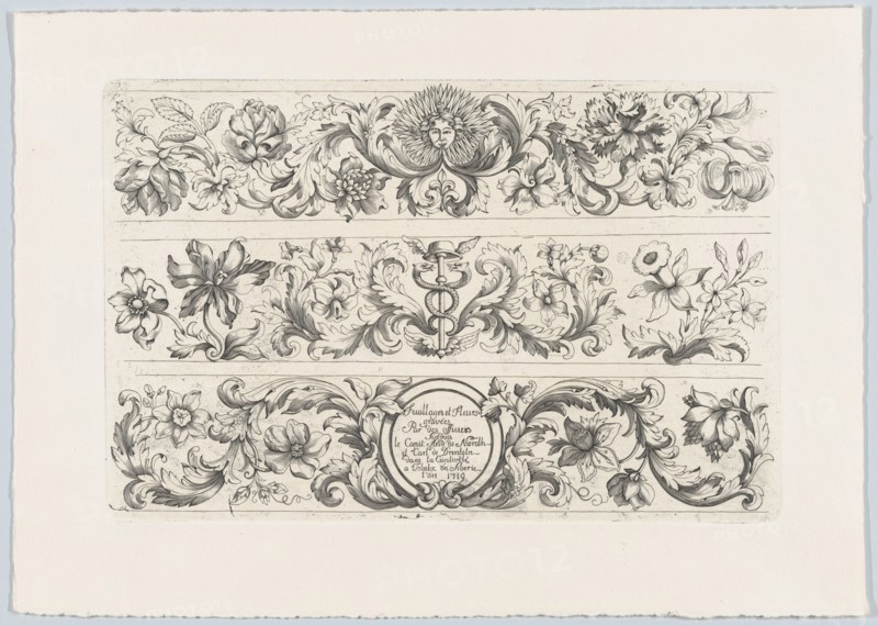 Foliage and flowers (Feuillages et Fleurs)