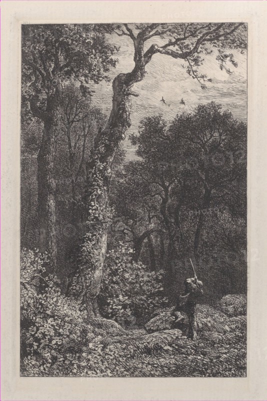 Shooting a Woodcock