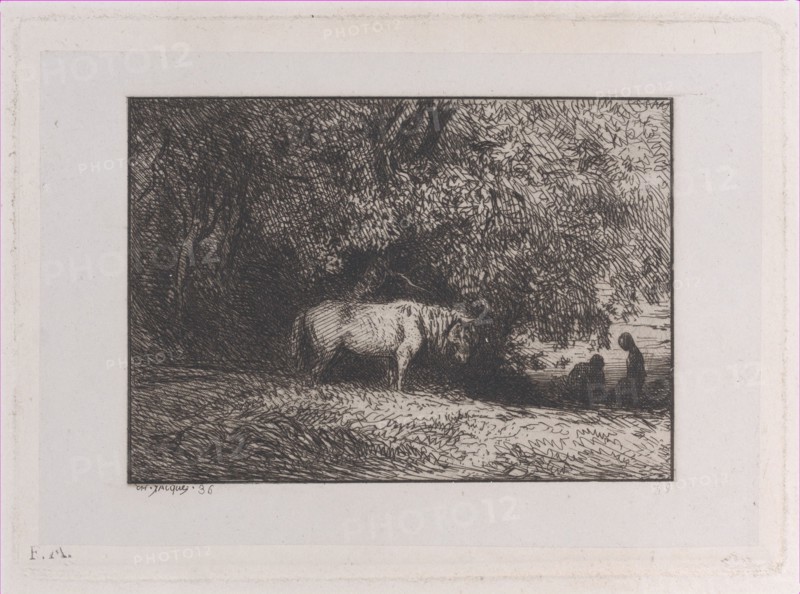 Horse Under a Tree Branch