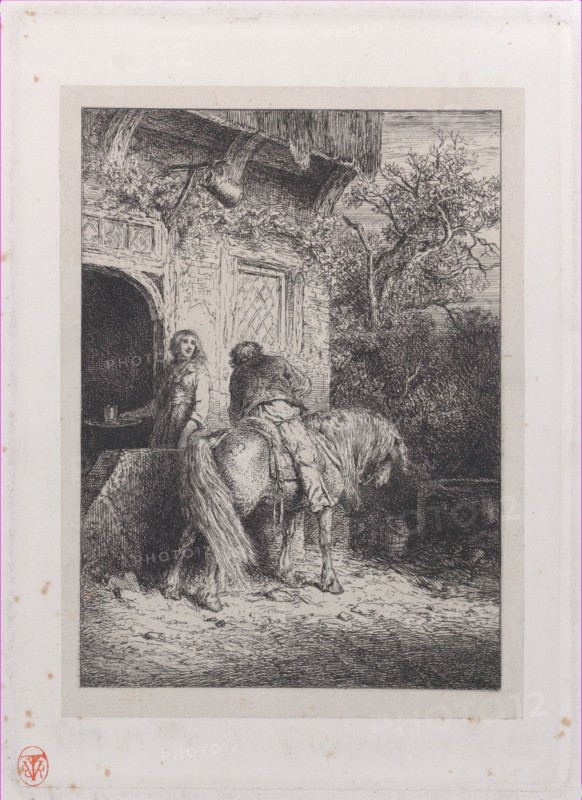 The Rider