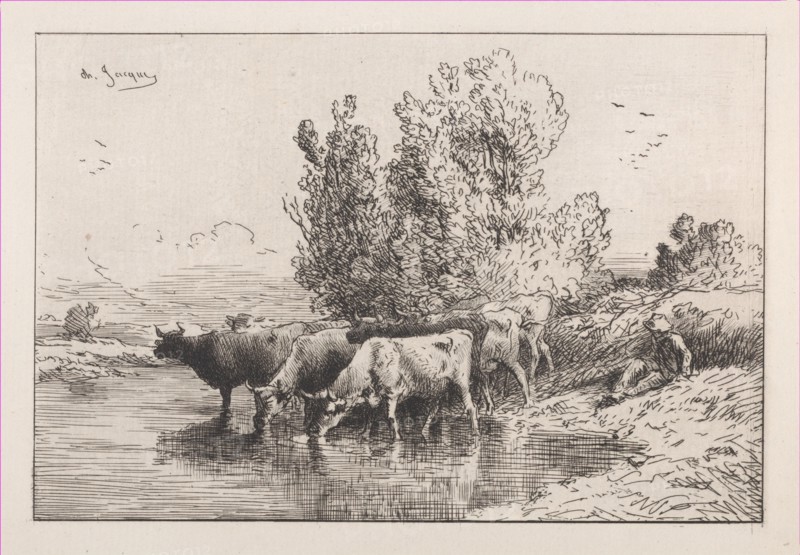 The Trough
