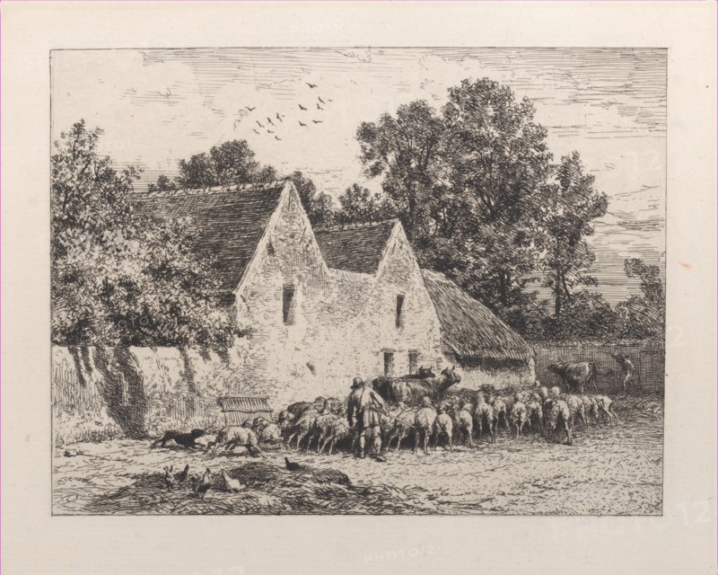 A Farm
